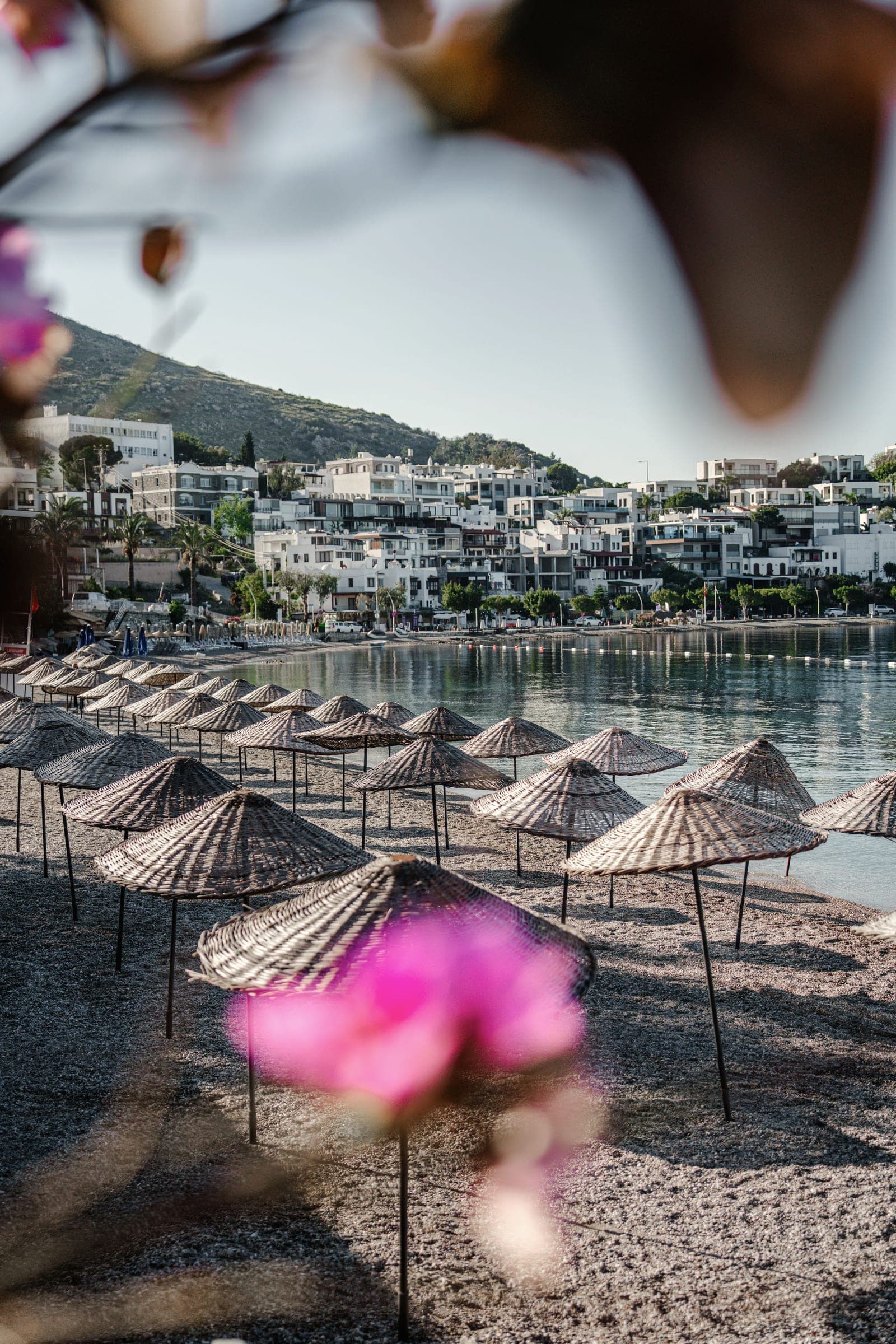 A pebble beach lined with straw umbrellas in Bodrum, white buildings behind and bougainvillea in the foreground
